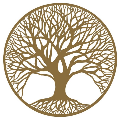 Photo de Maurice DODET